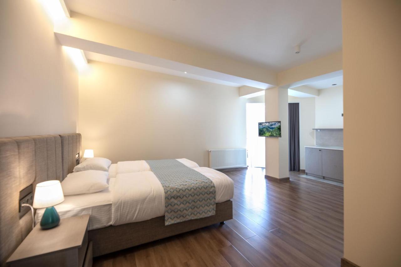Hotel Takara Dedoplis Tskaro Номер фото